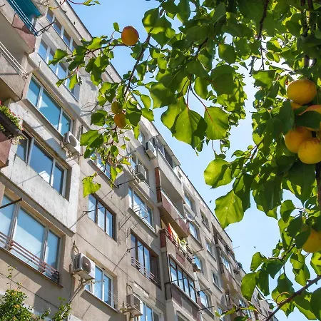 Be Local Apartment *
